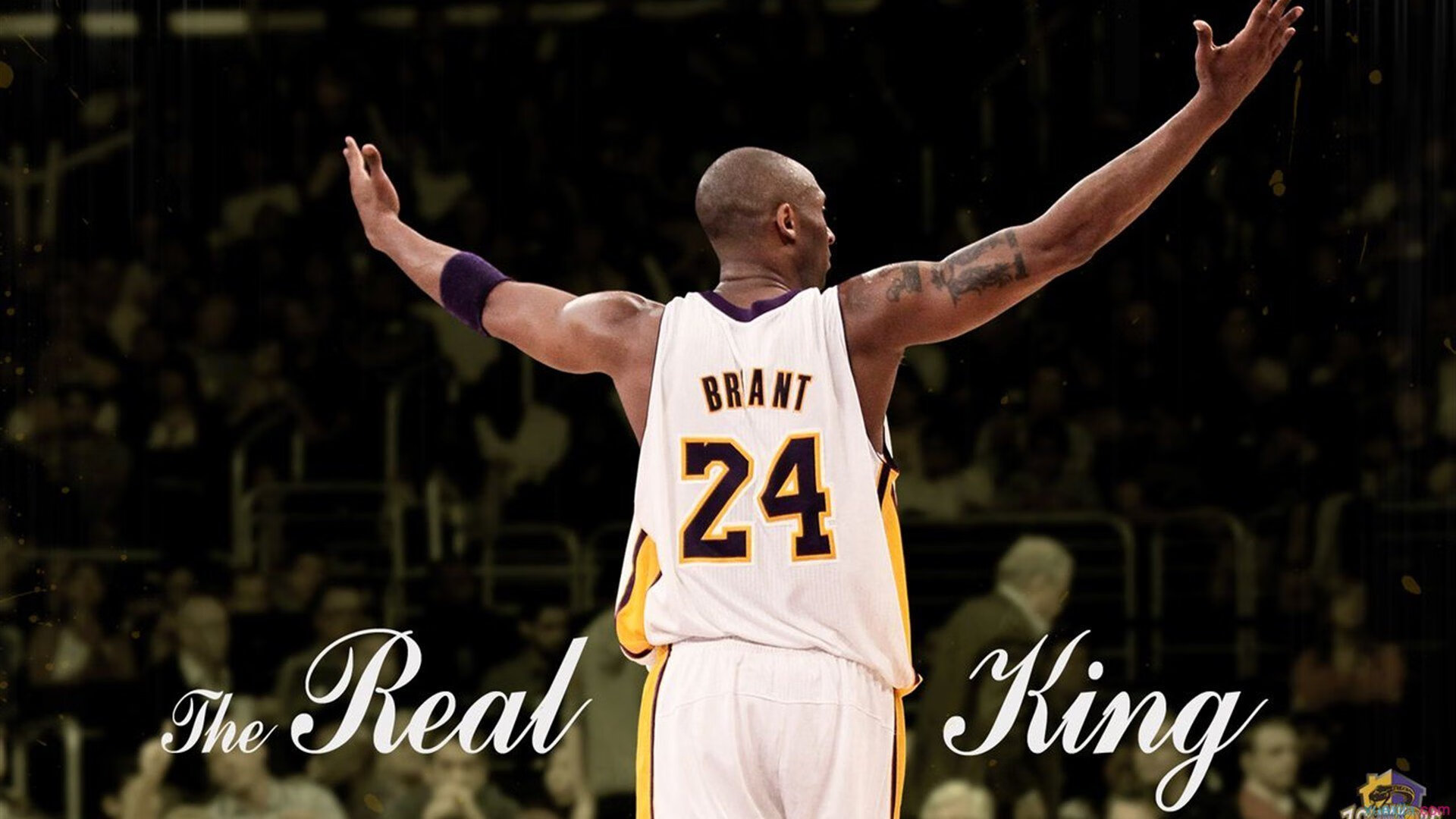 当坎特扛起全队，澳大利亚一波带走皇马的战术革命